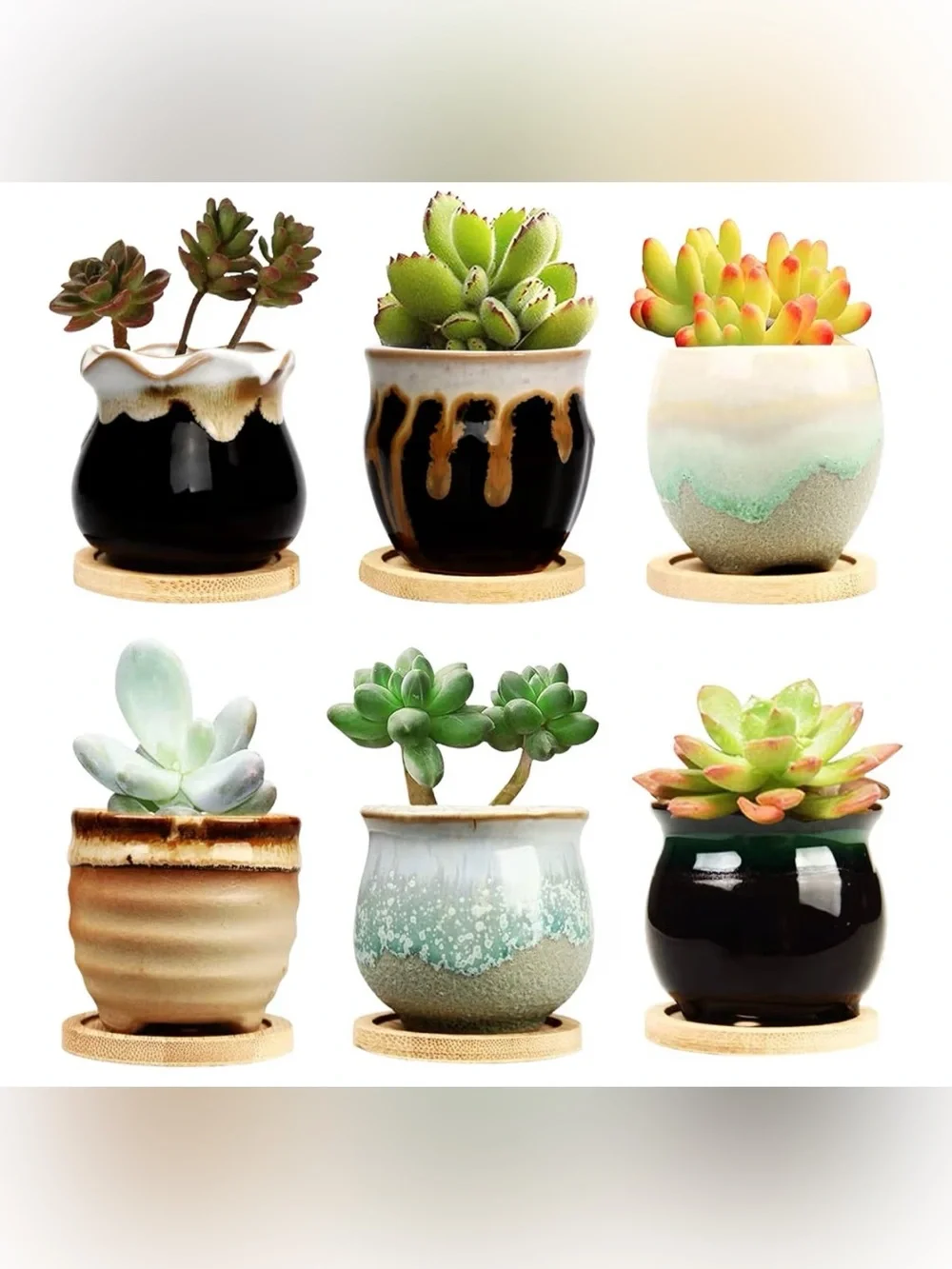 2.1 Inch Succulent Pots with Drainage and Base.  This is a set of 6.